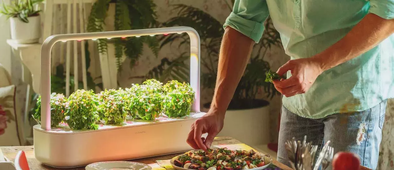 click & grow garden