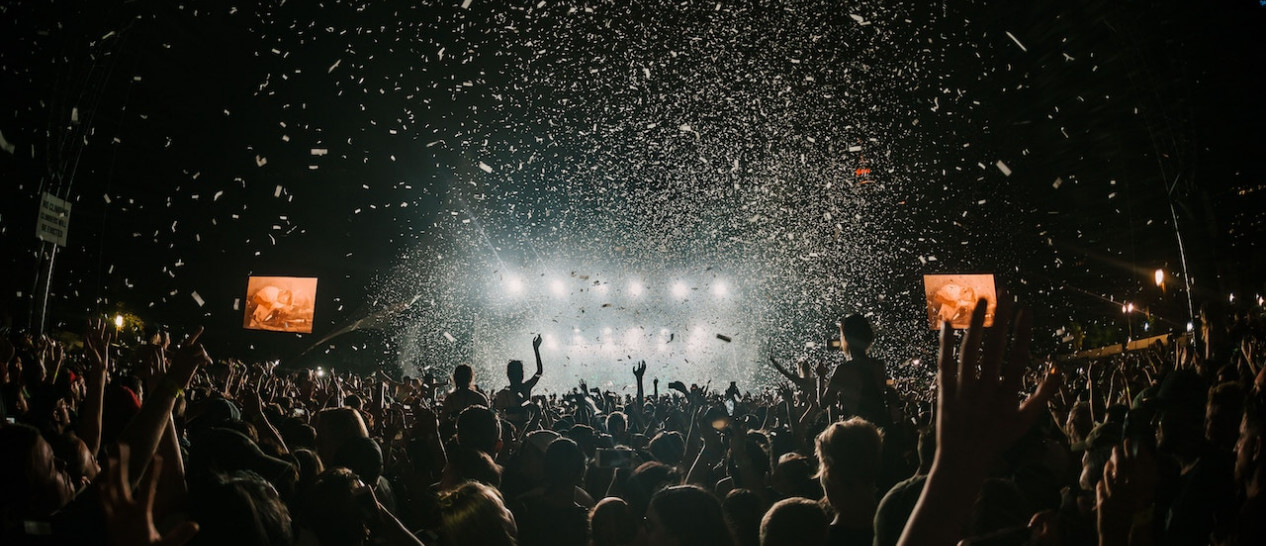 people in live concert