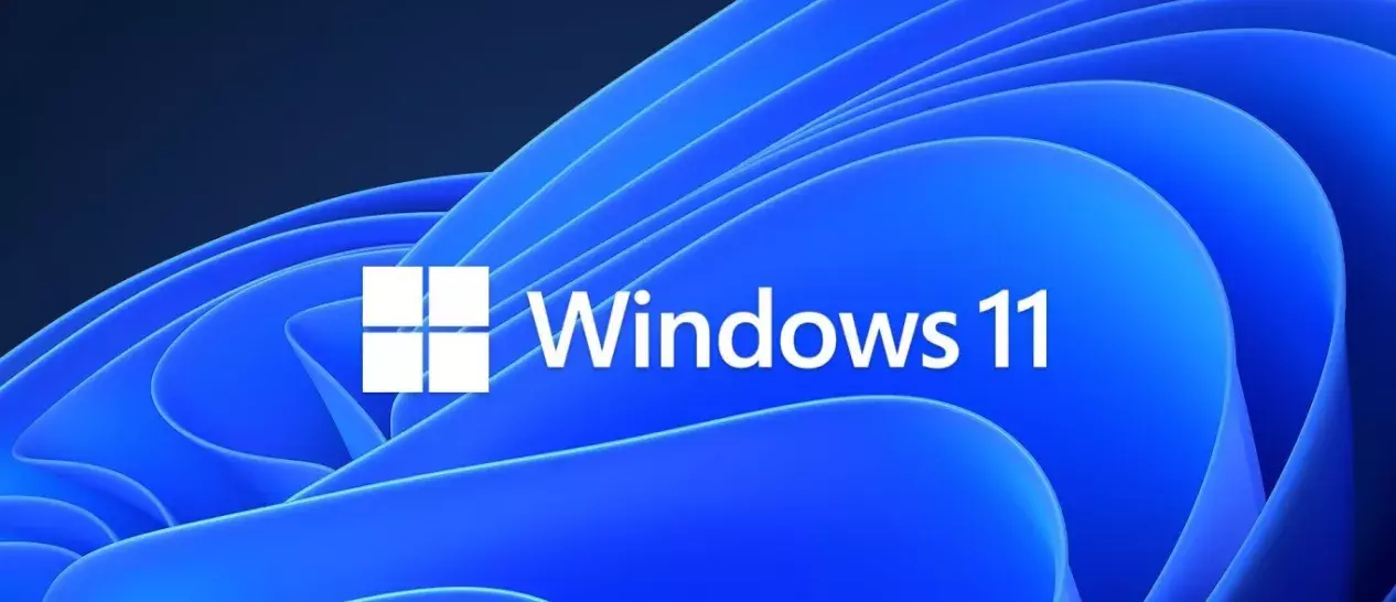 Windows 11 logo