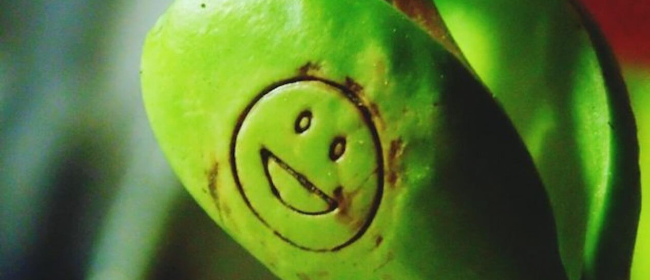 plant with smiley face