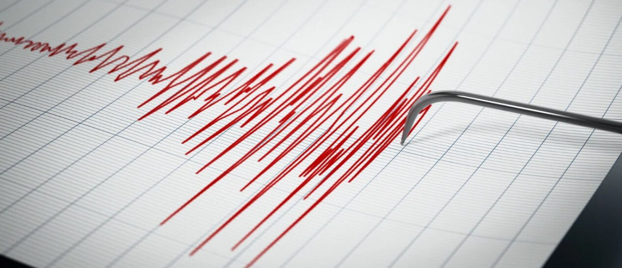 earthquake graphsheet