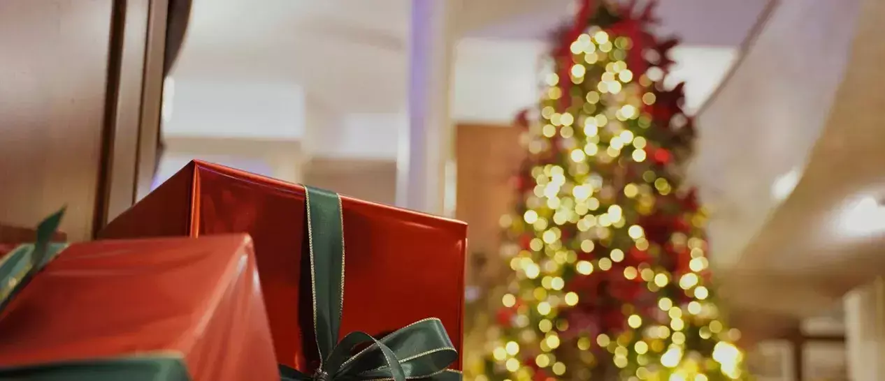 Δώρα που αγοράστηκαν από τον ΓΕΡΜΑΝΟ εν όψει εορτών μπροστά από ένα χριστουγεννιάτικο δέντρο