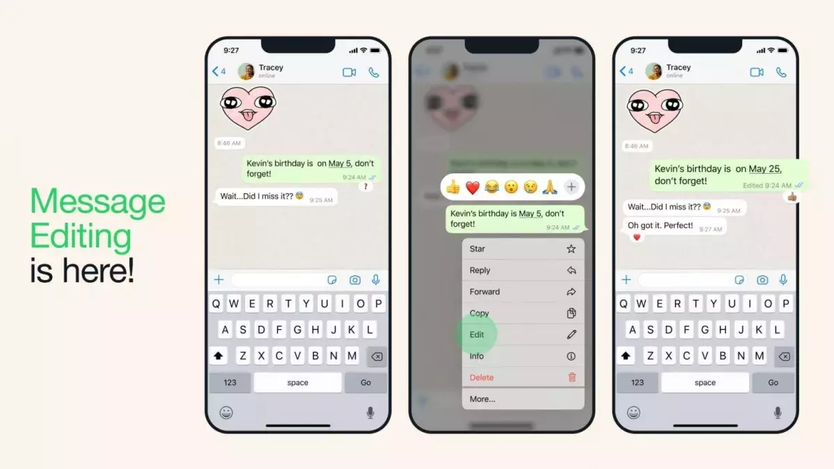 WhatsApp message interface