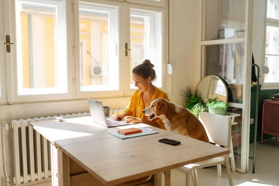 girl working on laptop with labrador dog aside