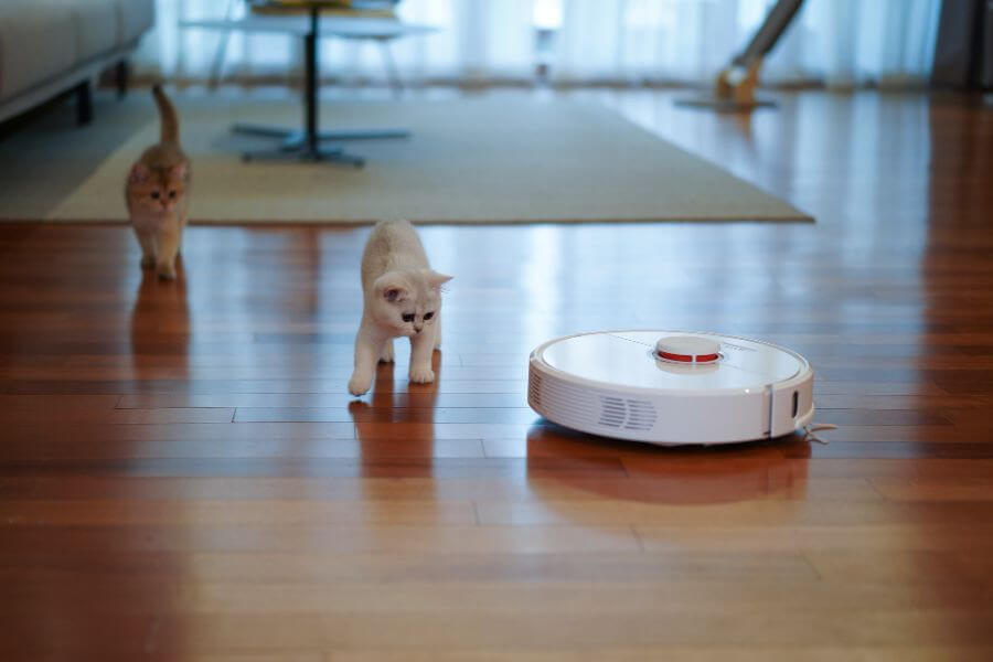 robot vacuum cleaner with cat