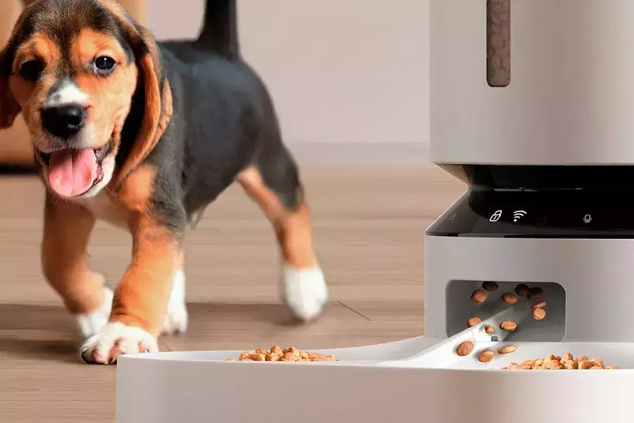 Ένα smart feeder θα διασφαλίσει πως ο σκύλος σου θα συνεχίσει να τρώει με πρόγραμμα ακόμα κι όταν εσύ λείπεις από το σπίτι