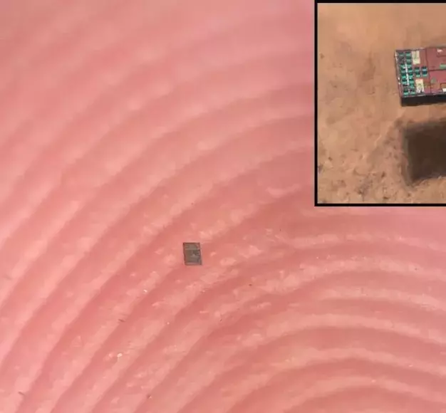 Ερευνητές ανέπτυξαν τα μικρότερα προγραμματιζόμενα ρομπότ στον κόσμο